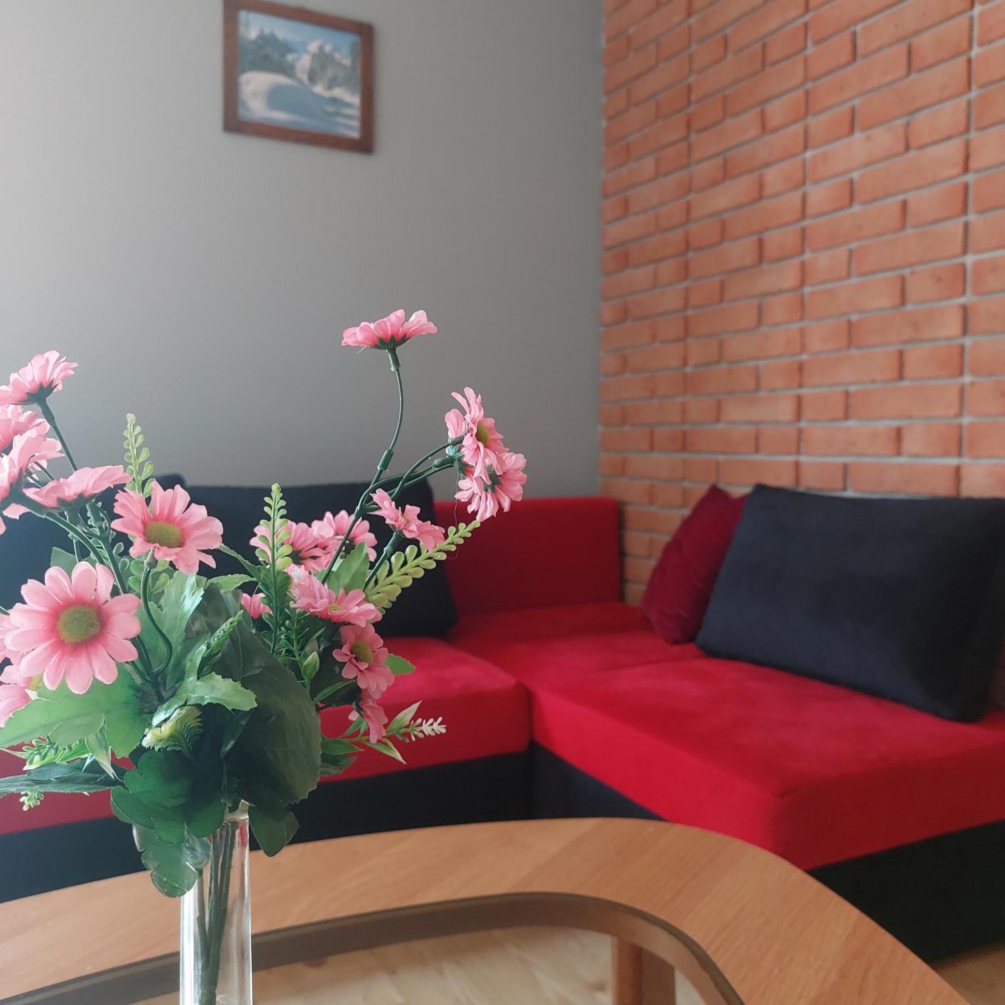 Swierkowy Zakatek U Bacy Wieprz  Esterno foto